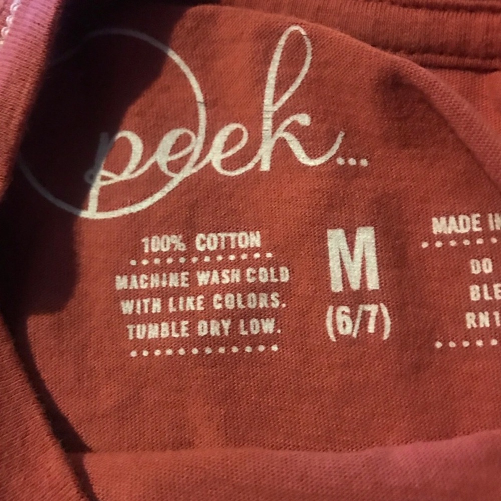 Peek Tom Sawyer Graphic Kids Tee in Rust Orange Size 6/7 - Picture 2 of 3